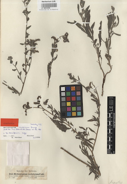 LE 00016398
