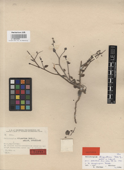 LE 00016404