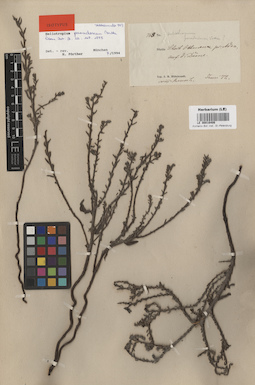 LE 00016406