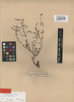 LE 00016414