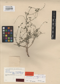 LE 00016415