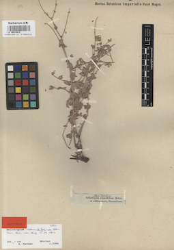 LE 00016416