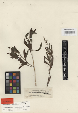 LE 00016439