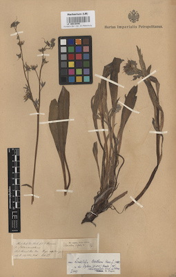 LE 00016448
