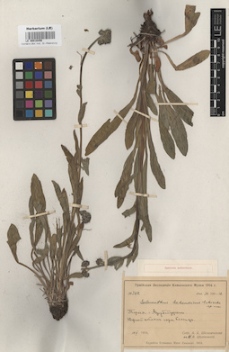 LE 00016456