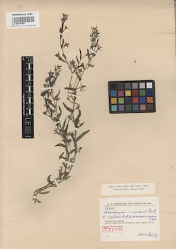 LE 00016468