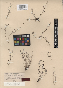 LE 00016473