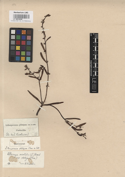 LE 00016489