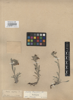 LE 00016501