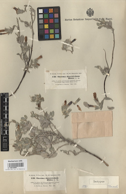 LE 00016505