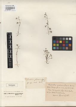 LE 00016536