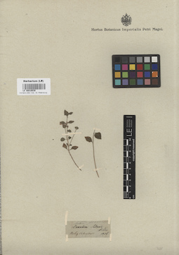 LE 00016539
