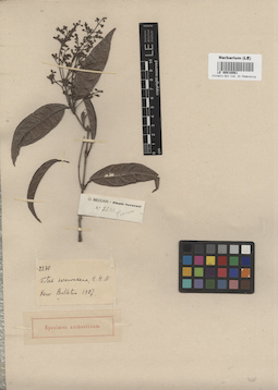 LE 00016561