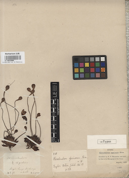 LE 00016566