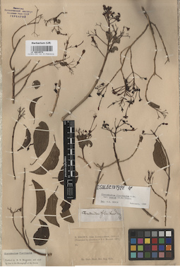 LE 00016578