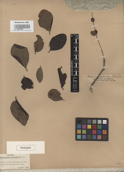 LE 00016580