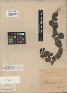LE 00016585