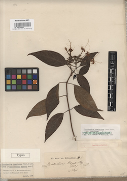 LE 00016586