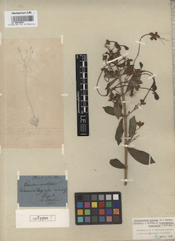 LE 00016587