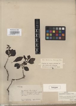 LE 00016595