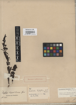 LE 00016601