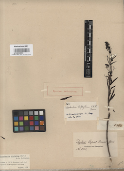 LE 00016602