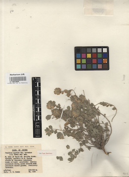 LE 00016609