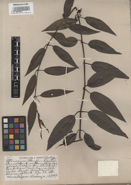 LE 00016612