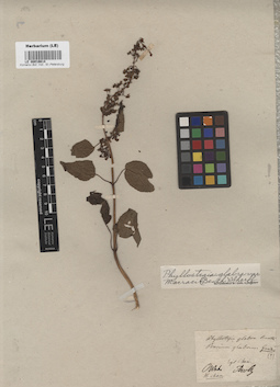 LE 00016614