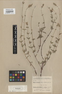 LE 00016634