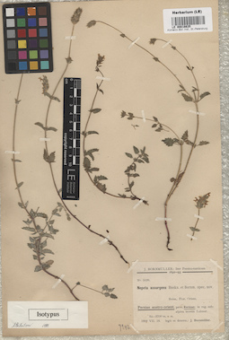 LE 00016635