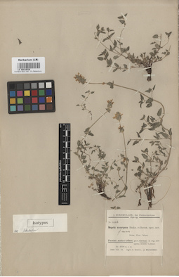 LE 00016636