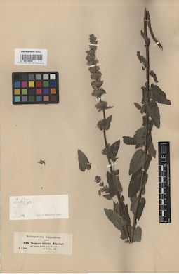 LE 00016640