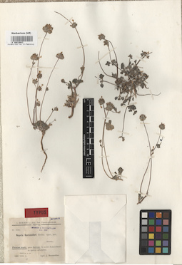 LE 00016643