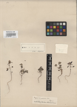 LE 00016646
