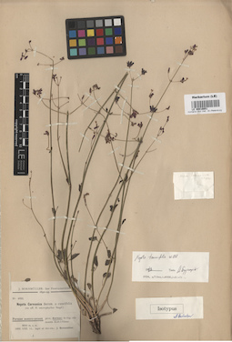 LE 00016651