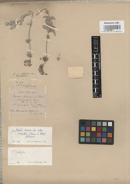 LE 00016657
