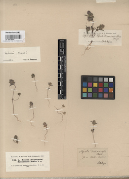 LE 00016659