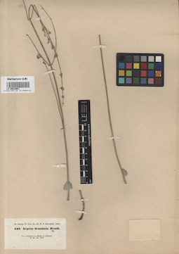 LE 00016661