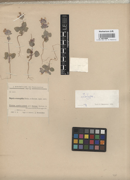 LE 00016666