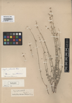 LE 00016669