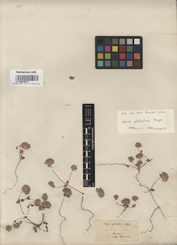 LE 00016674