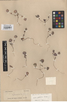 LE 00016678