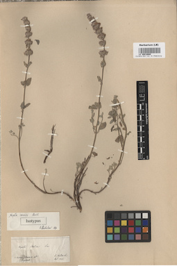 LE 00016680