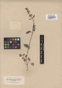 LE 00016693