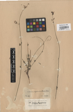 LE 00016701