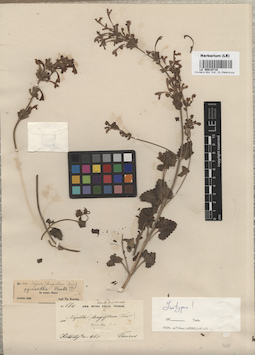 LE 00016710