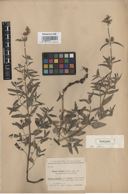 LE 00016712