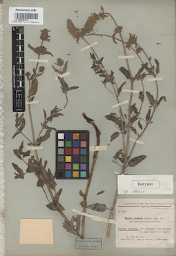 LE 00016714