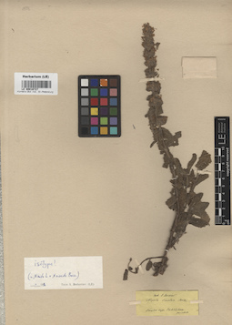 LE 00016727